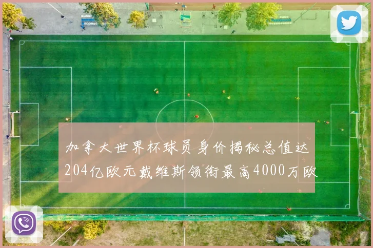 加拿大世界杯球员身价揭秘总值达204亿欧元戴维斯领衔最高4000万欧